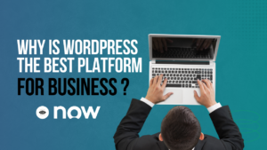 Web Development Services in Prayagraj