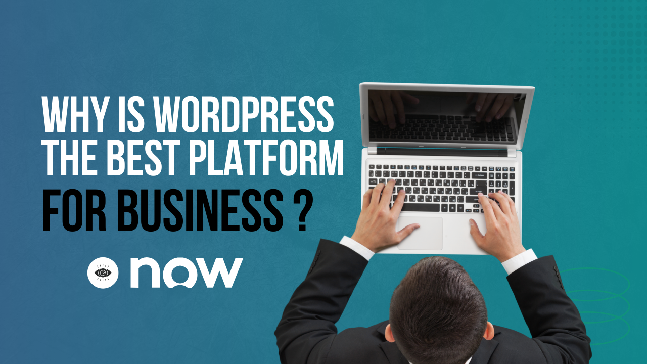 Why Is WordPress the Best Platform for Business?